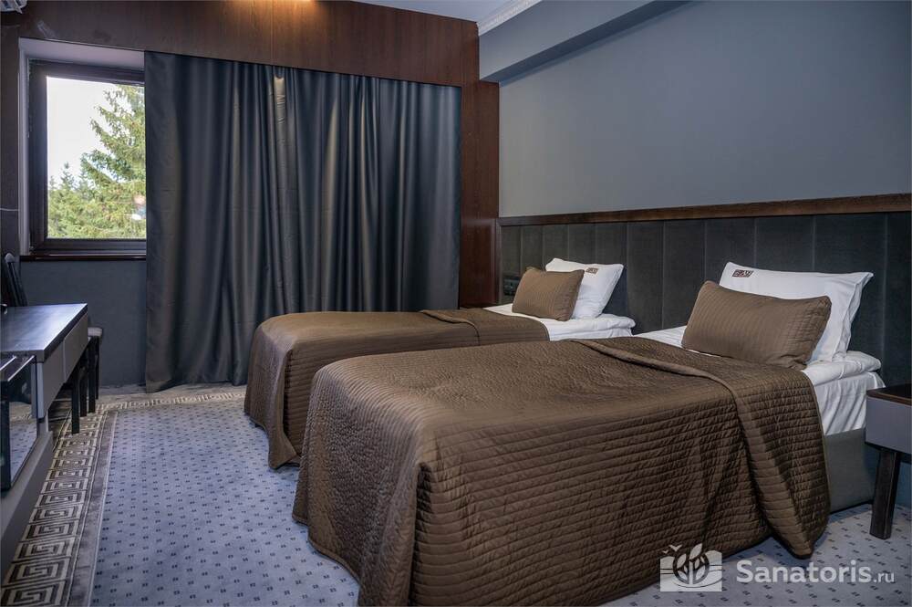 Стандарт без балкона с видом на горы Twin (Отель «Югославский»)