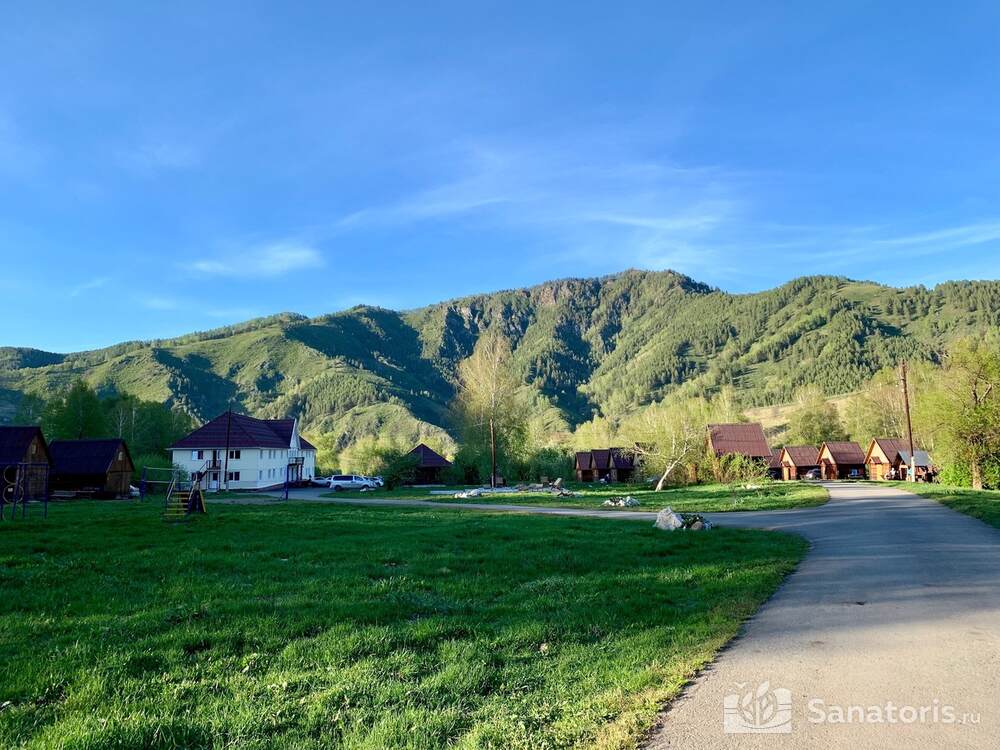 Лесная сказка