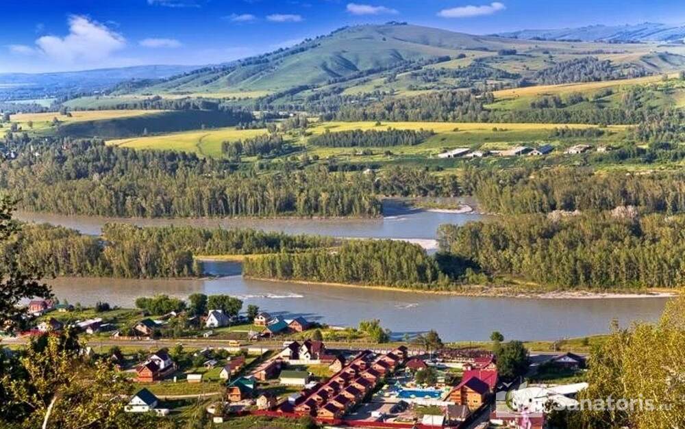 Три медведя