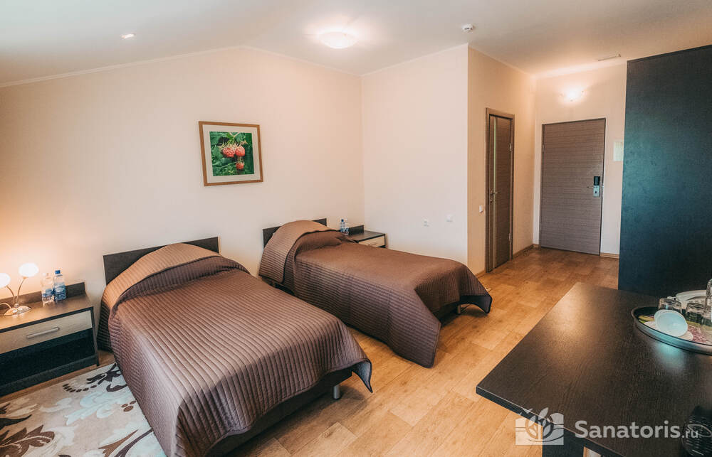 Номер «Стандарт» двухместный