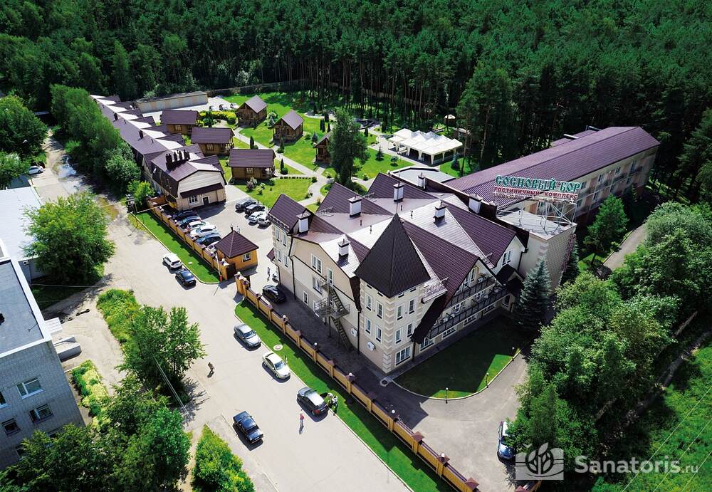 Сосновый бор