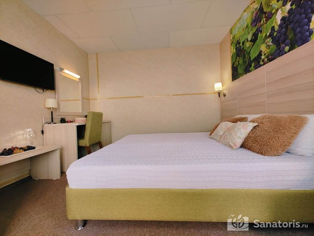 Двухместный Полулюкс с террасой