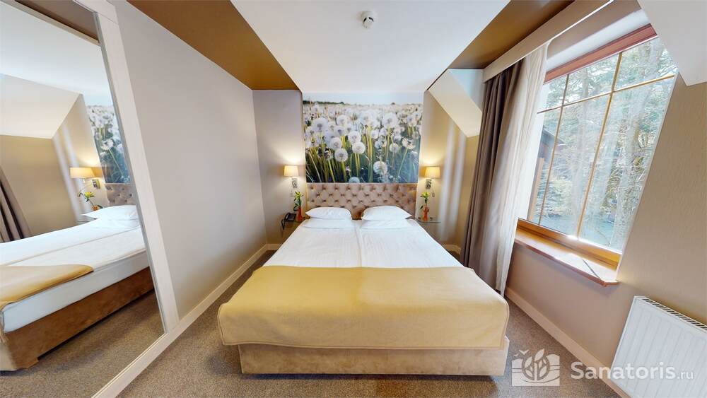 Стандартный двухместный номер с 1 кроватью (DBL-2)