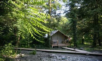 Глэмпинг Лес Глэмпинг и СПА