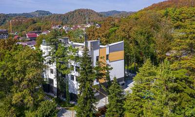 Отель Тенистое место