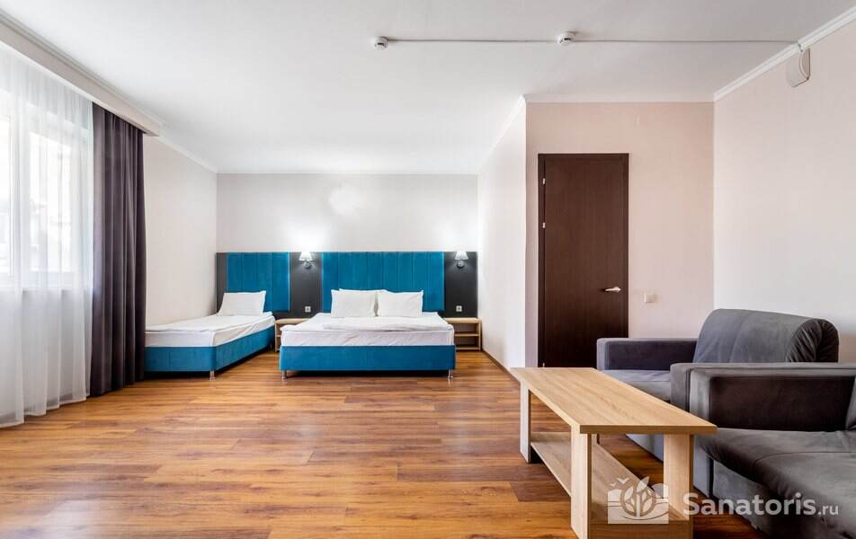 Комфорт 3-местный 1-комнатный